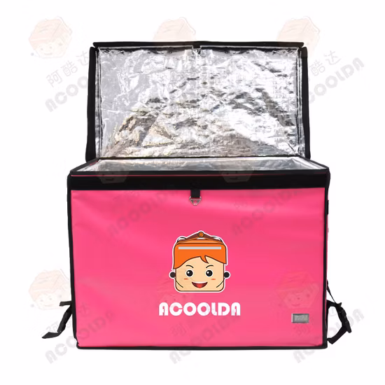Sac de livraison de nourriture de boîte de refroidisseur d'organisateur de boîte adapté aux besoins du client Non